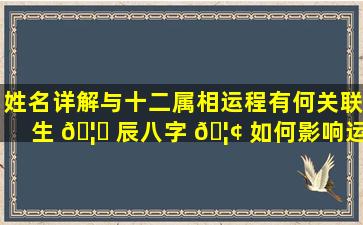 姓名详解与十二属相运程有何关联生 🦁 辰八字 🦢 如何影响运势